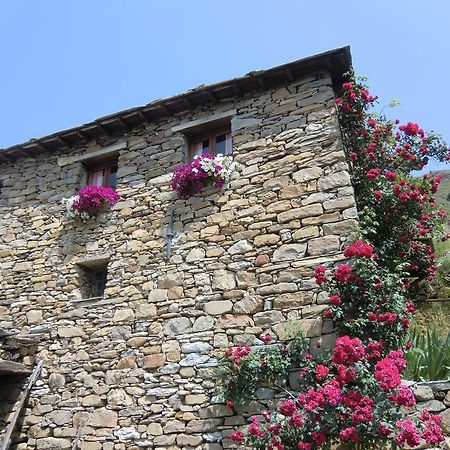 Agriturismo La Fontana Dell'Olmo Hotel Molini di Triora Eksteriør billede