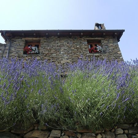 Agriturismo La Fontana Dell'Olmo Hotel Molini di Triora Eksteriør billede