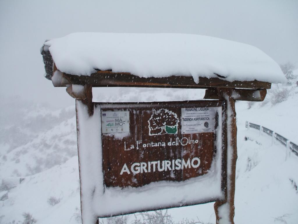 Agriturismo La Fontana Dell'Olmo Hotel Molini di Triora Eksteriør billede