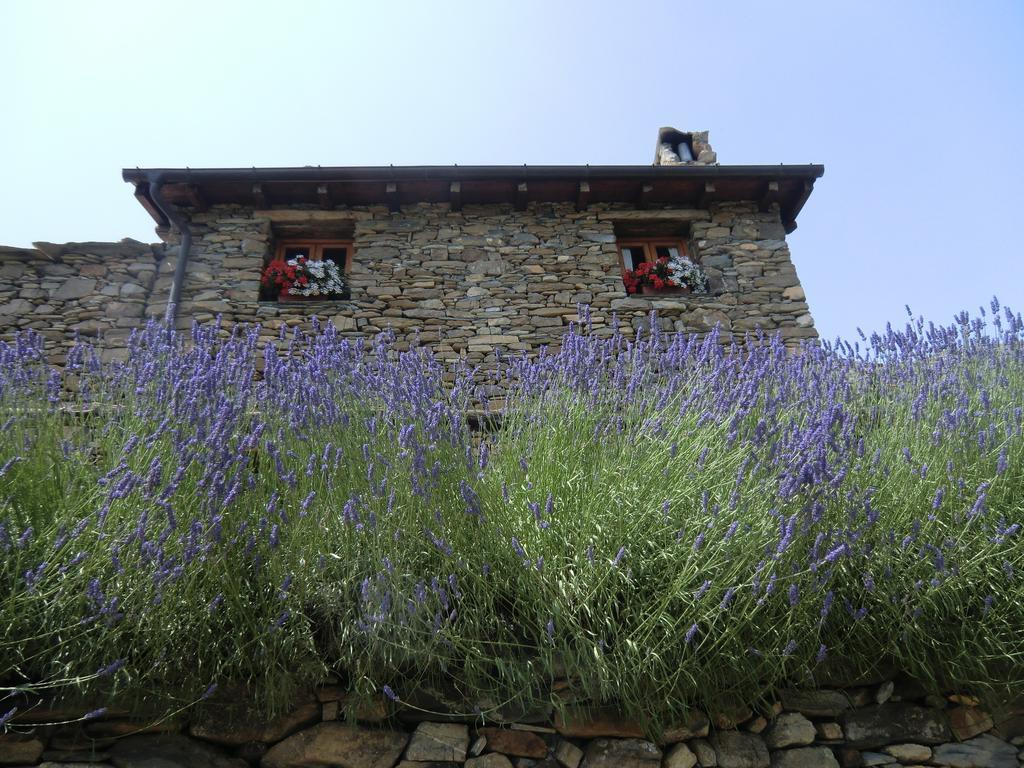 Agriturismo La Fontana Dell'Olmo Hotel Molini di Triora Eksteriør billede