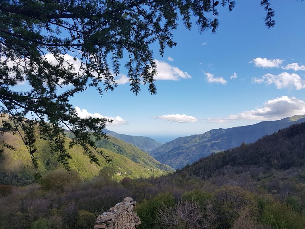 Agriturismo La Fontana Dell'Olmo Hotel Molini di Triora Eksteriør billede